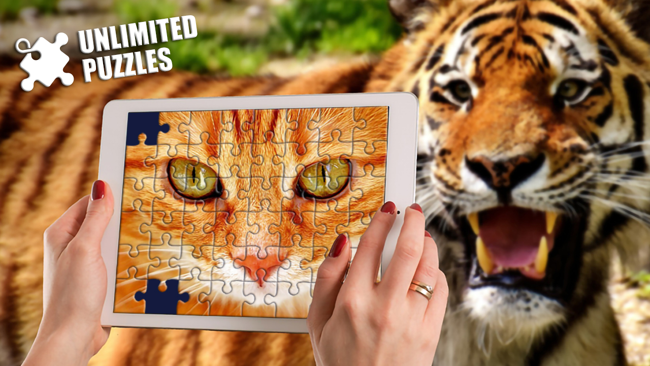 Image Unlimited Puzzles